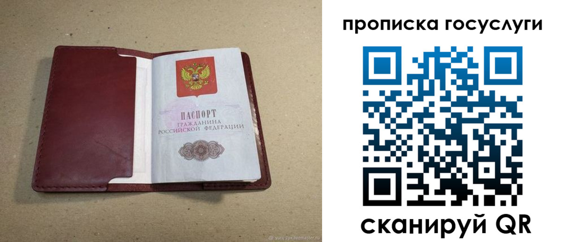 прописка поиск в Ардоне